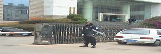 特勤警戒服务